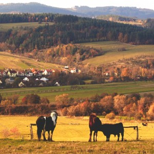 Val.Příkazy 10-2006